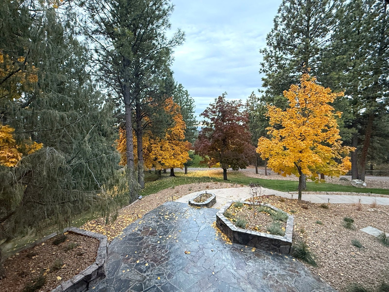 Vibrant fall colors in front yard of Eagle's Bluff estate on Flathead Lake