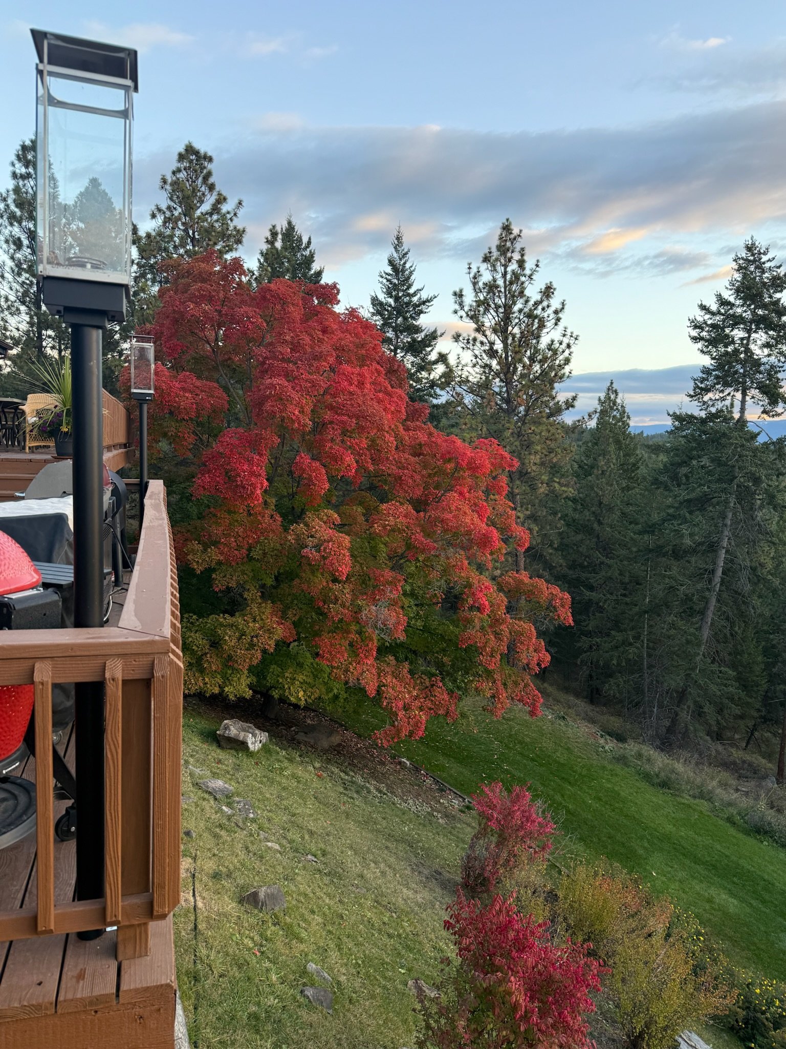 Eagle's Bluff estate landscaping with native Montana plants and mountain views